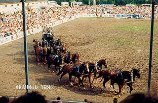 Hengstparade Redefin 1992