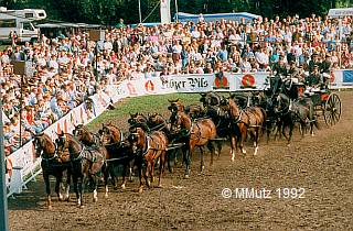 Hengstparade Redefin 1992